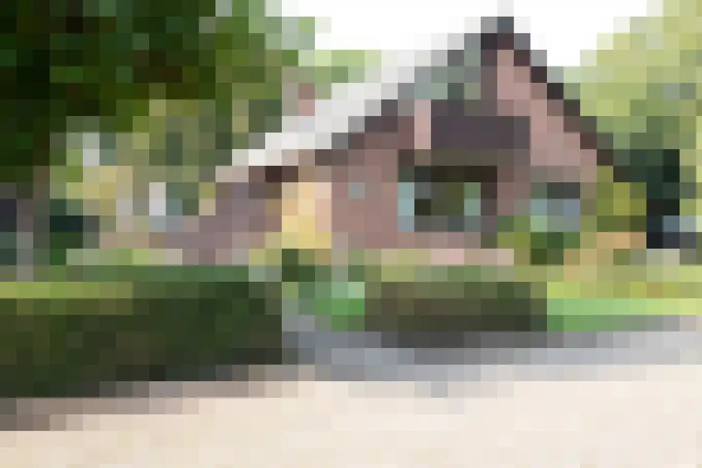 Dokter Mees ten Oeverlaan 7 Wilnis thumbnail 5