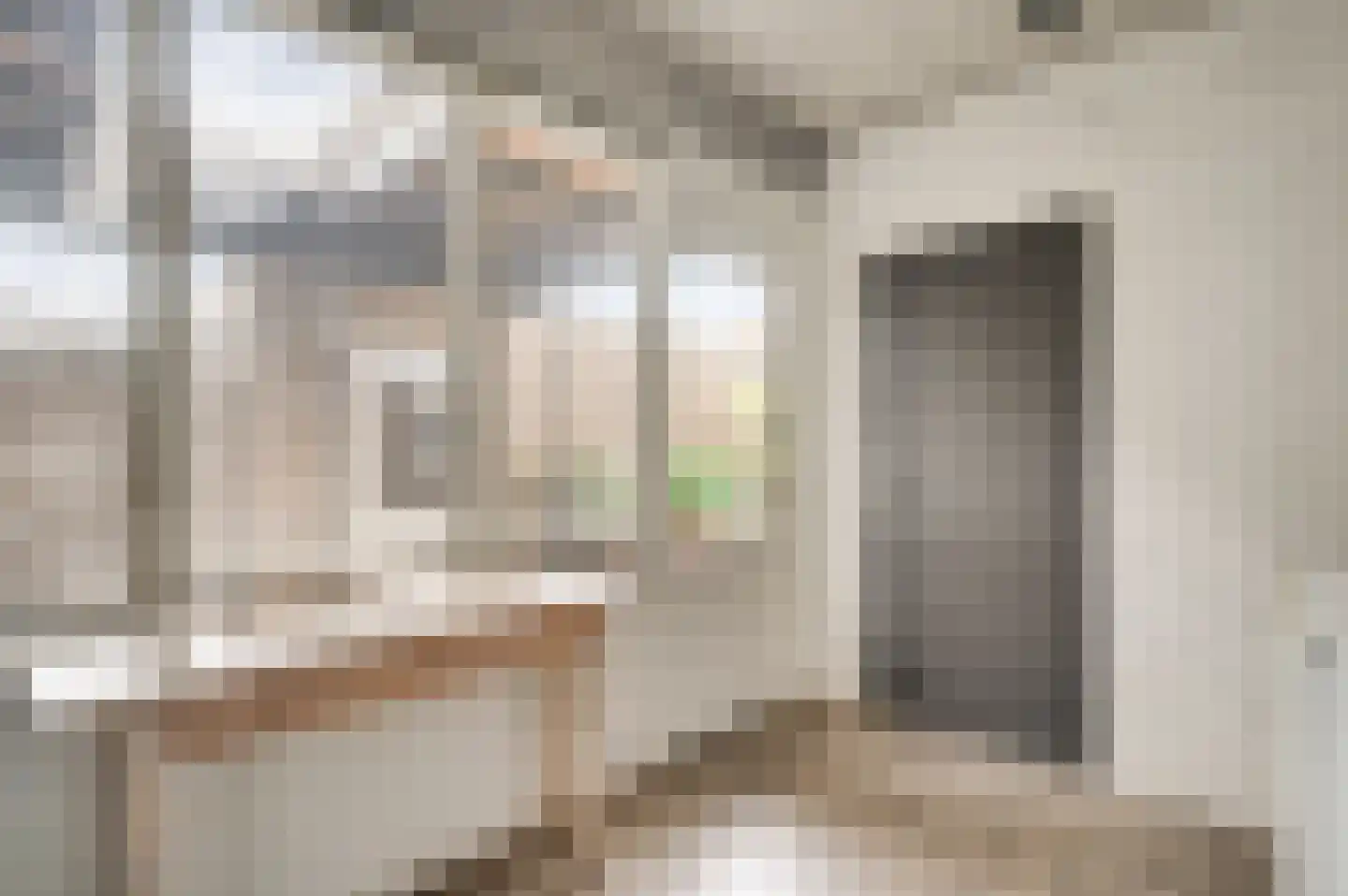 Dokter Meuwissenstraat 28 Sint Odiliënberg thumbnail 13
