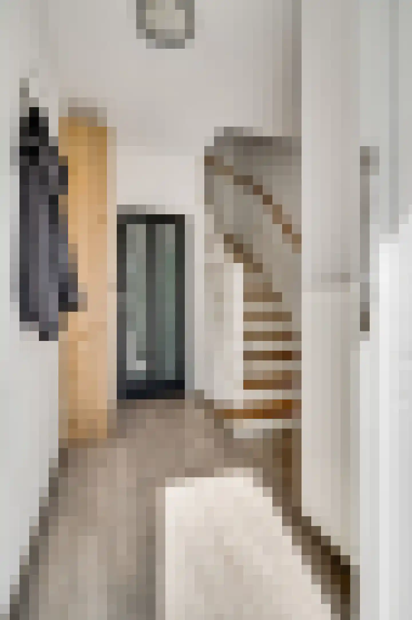 Dokter Meuwissenstraat 28 Sint Odiliënberg thumbnail 19