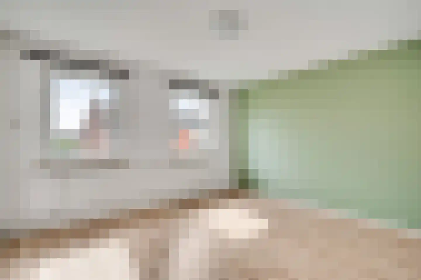 Dokter Meuwissenstraat 28 Sint Odiliënberg thumbnail 23