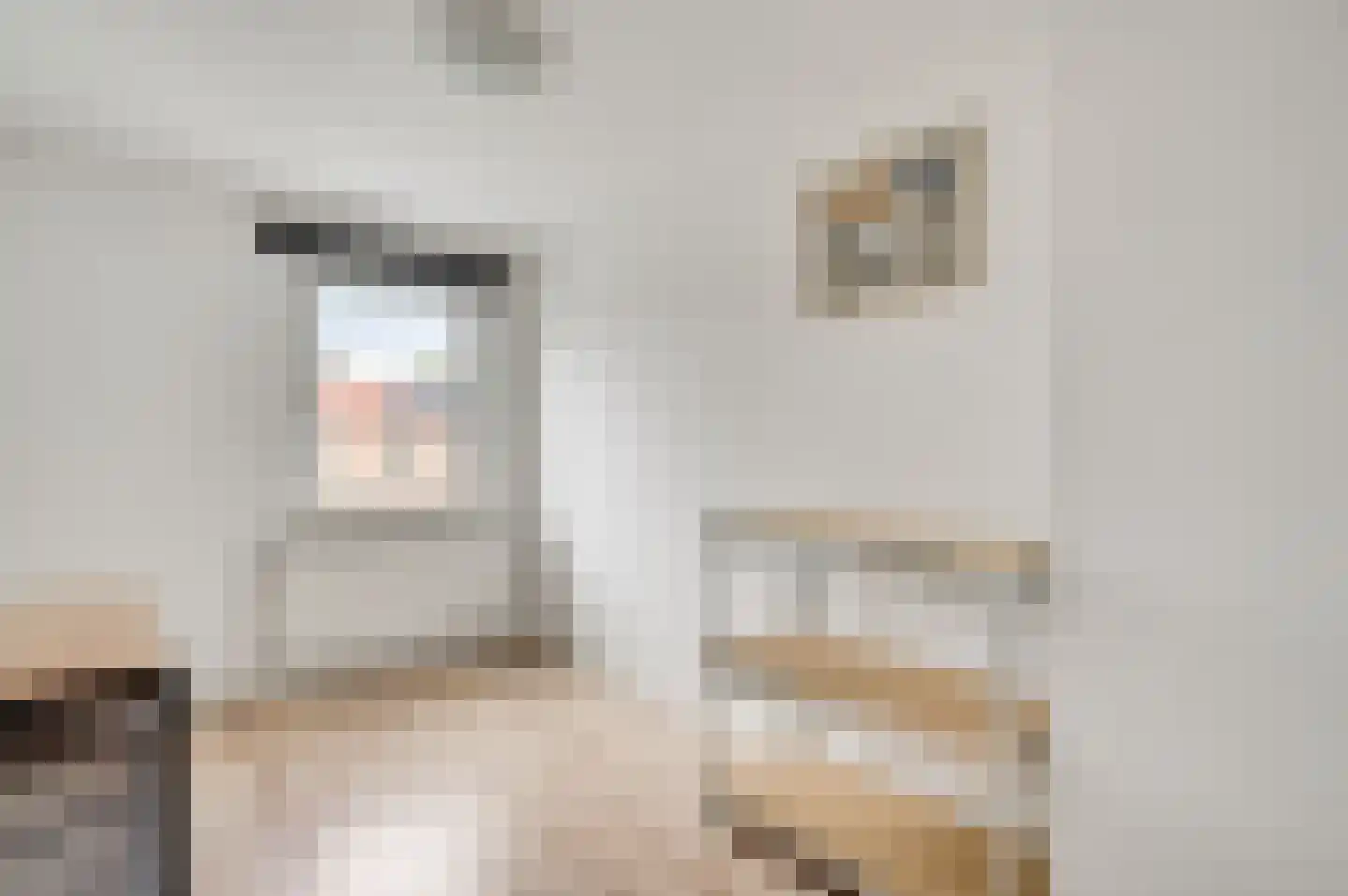 Dokter Meuwissenstraat 28 Sint Odiliënberg thumbnail 25