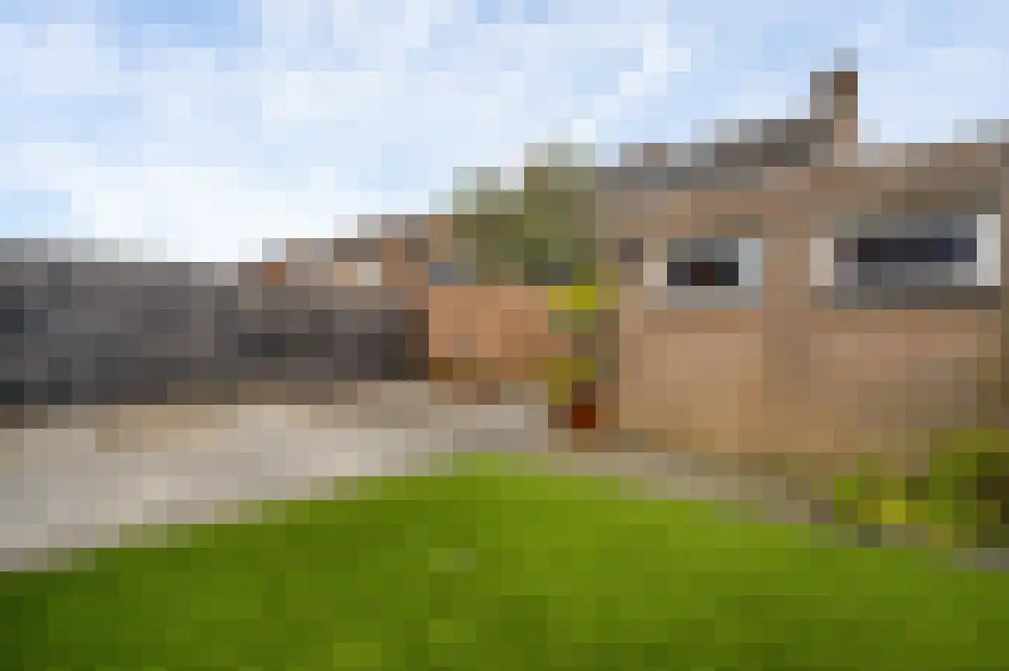 Dokter Meuwissenstraat 28 Sint Odiliënberg thumbnail 29