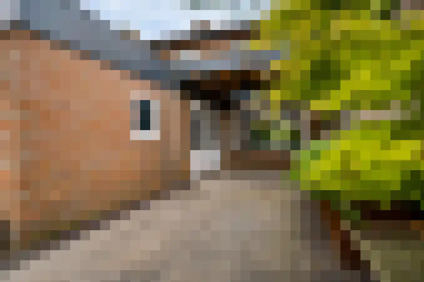 Dokter Meuwissenstraat 28 Sint Odiliënberg thumbnail 32