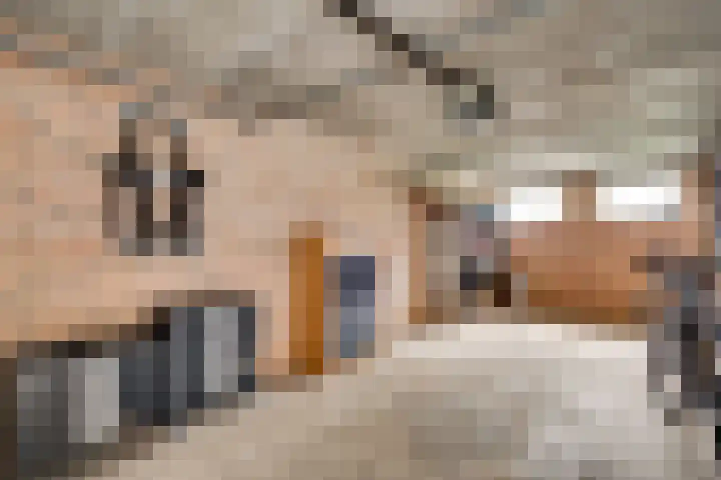 Dokter Meuwissenstraat 28 Sint Odiliënberg thumbnail 33