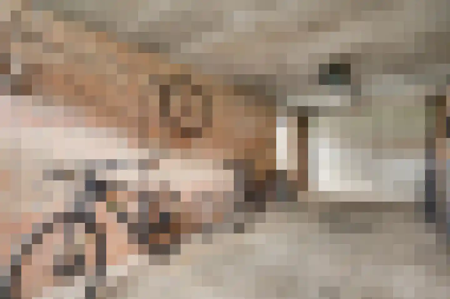 Dokter Meuwissenstraat 28 Sint Odiliënberg thumbnail 34