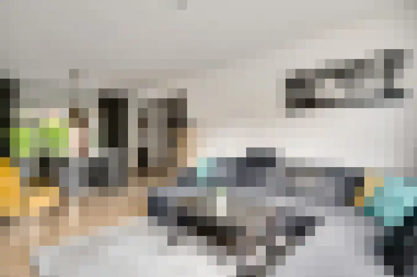 Dokter Meuwissenstraat 28 Sint Odiliënberg thumbnail 8