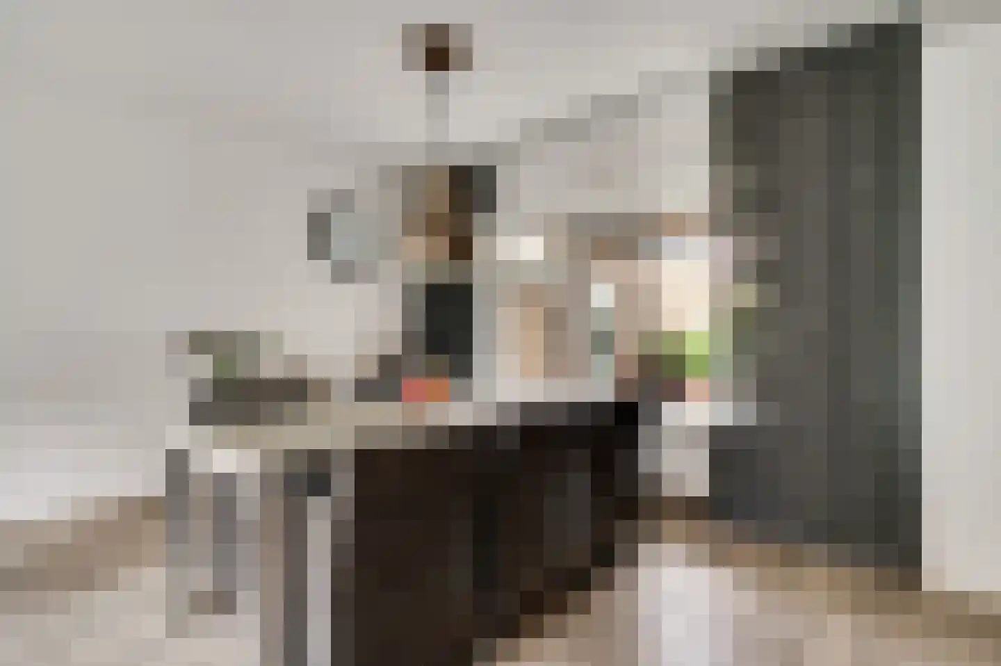 Dokter Meuwissenstraat 28 Sint Odiliënberg thumbnail 9