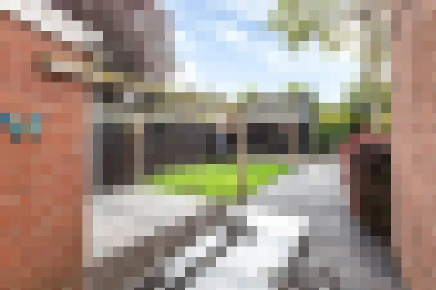 Dokter Miedemastrjitte 14 Boazum thumbnail 16