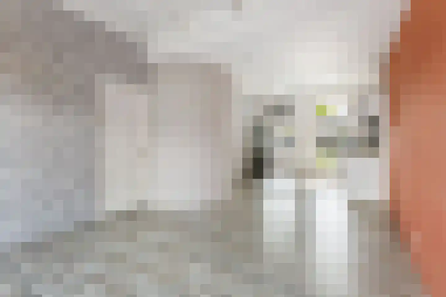 Dokter Miedemastrjitte 14 Boazum foto 2