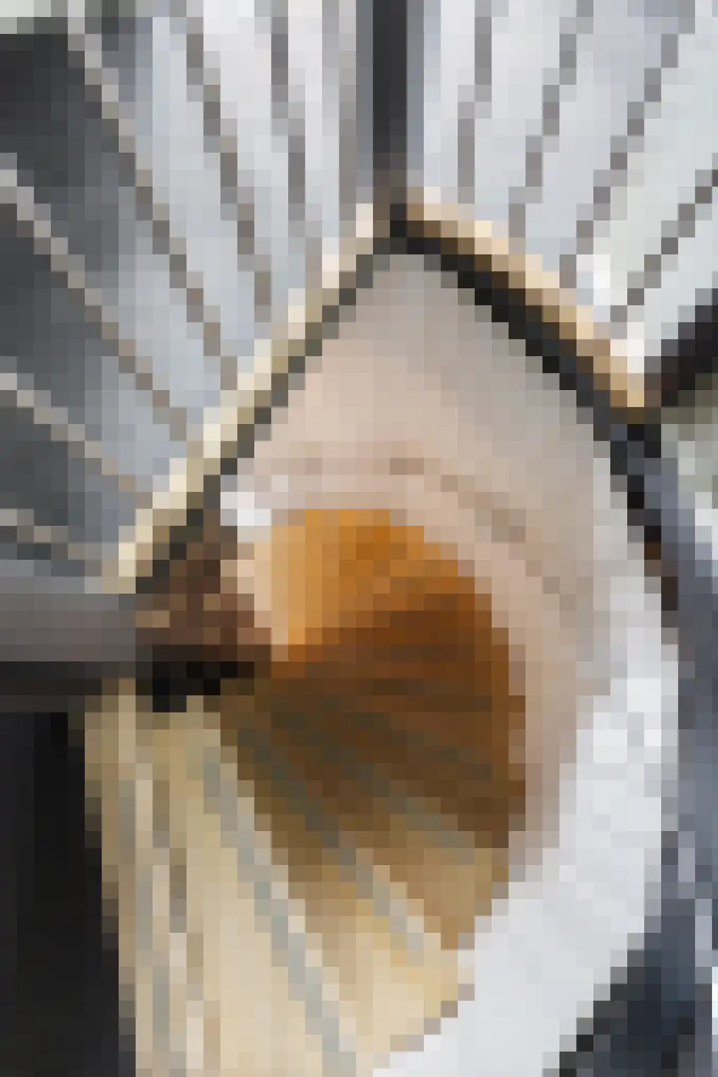 Dokter Miedemastrjitte 14 Boazum thumbnail 22