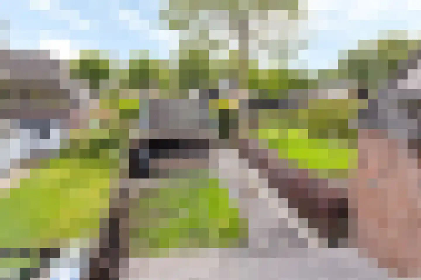 Dokter Miedemastrjitte 14 Boazum thumbnail 27