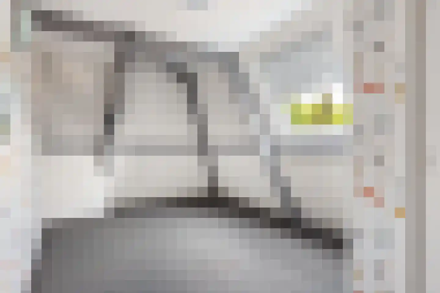 Dokter Miedemastrjitte 14 Boazum thumbnail 28
