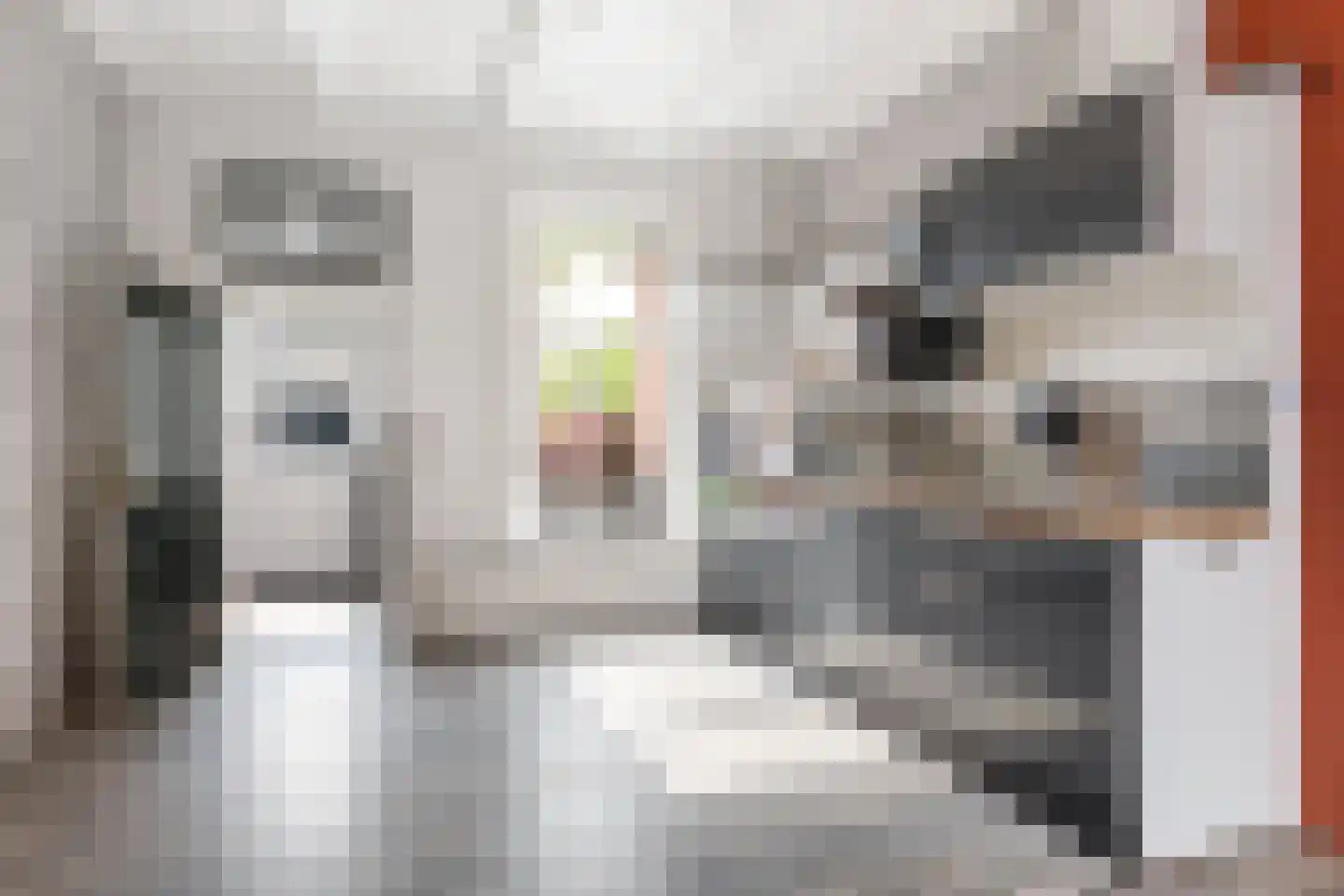 Dokter Miedemastrjitte 14 Boazum thumbnail 5