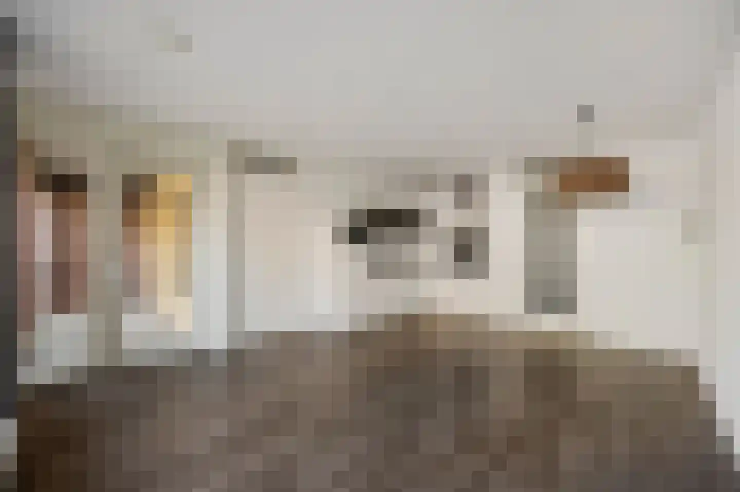 Dokter Molplein 1 Roermond thumbnail 5