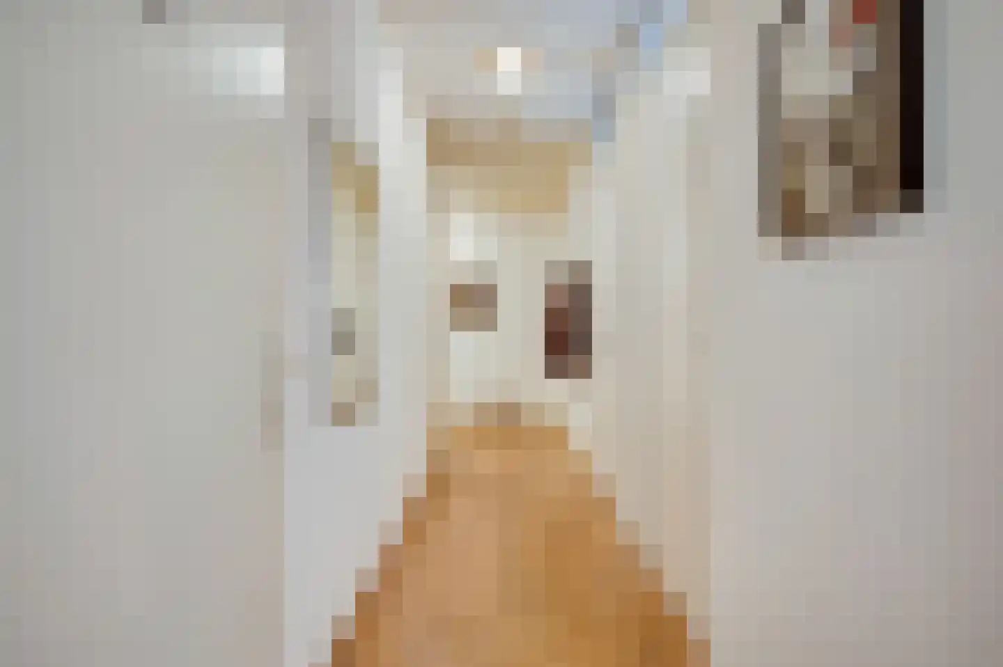 Dokter Molplein 2 Roermond thumbnail 8