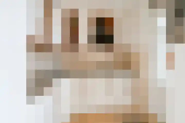 Dokter Mulderstraat 13 a Oostwoud thumbnail 11