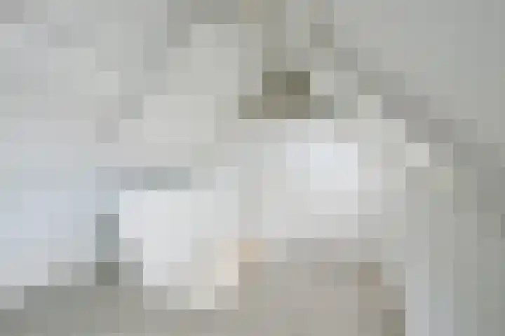 Dokter Mulderstraat 13 a Oostwoud thumbnail 27