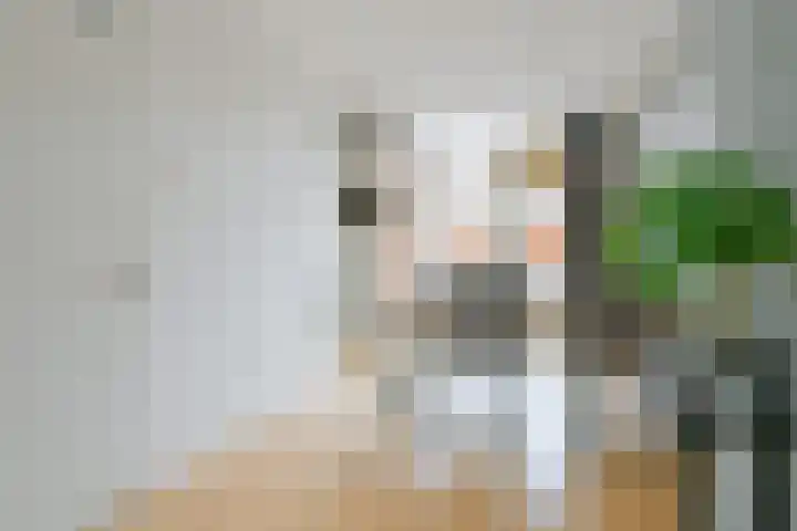 Dokter Mulderstraat 13 a Oostwoud thumbnail 5