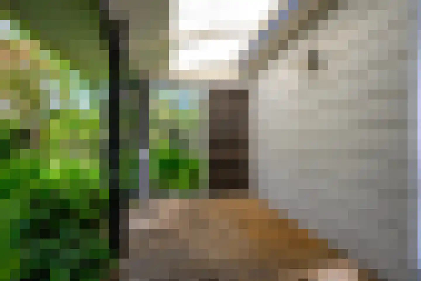 Dokter Mulderstraat 17 Oostwoud thumbnail 41