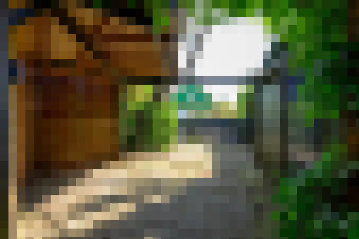 Dokter Mulderstraat 17 Oostwoud thumbnail 45