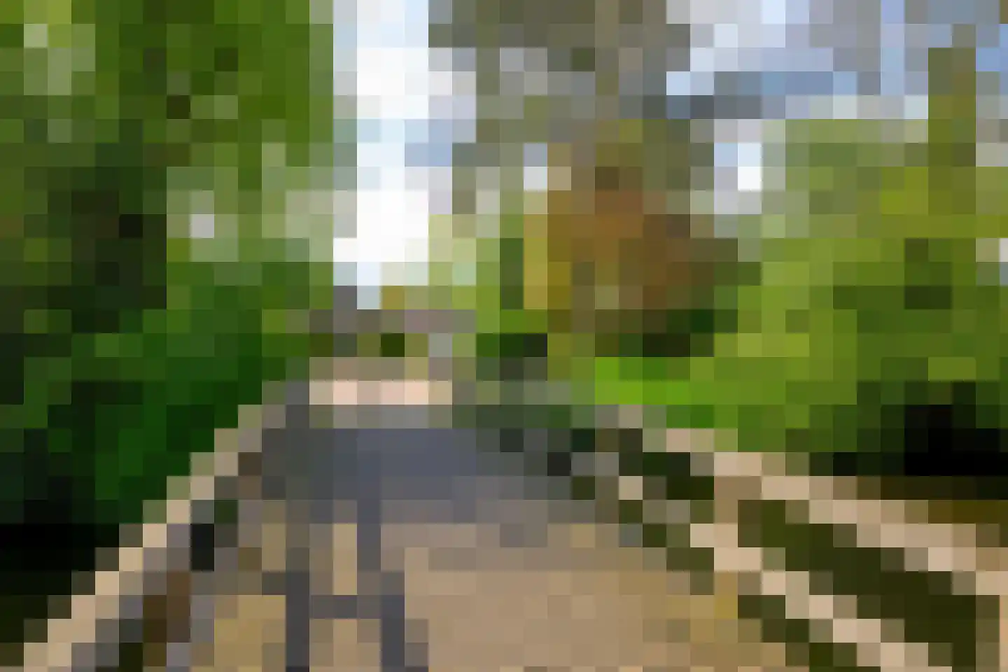Dokter Mulderstraat 17 Oostwoud thumbnail 54
