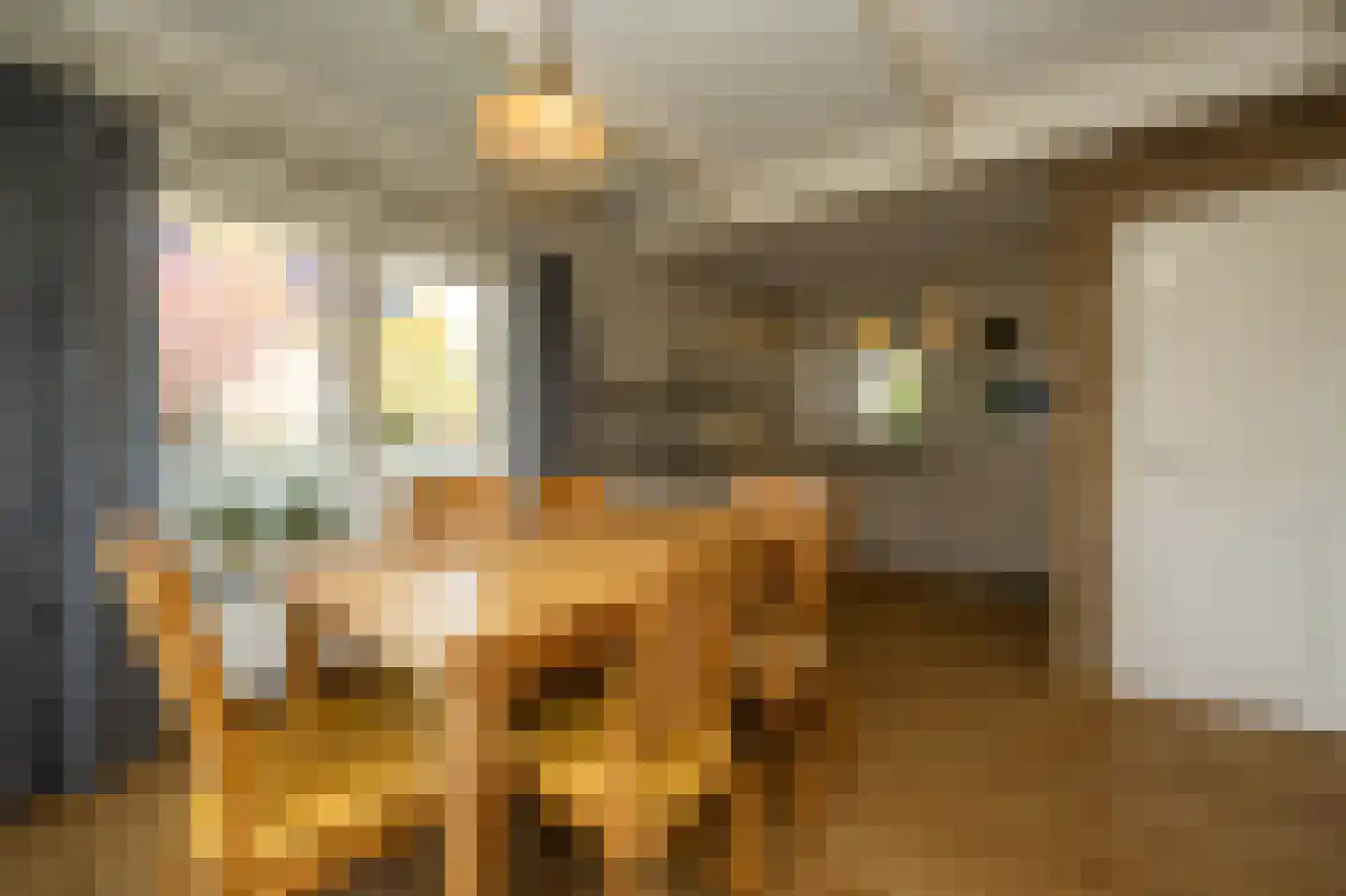 Dokter Mulderstraat 2 Oostwoud thumbnail 10