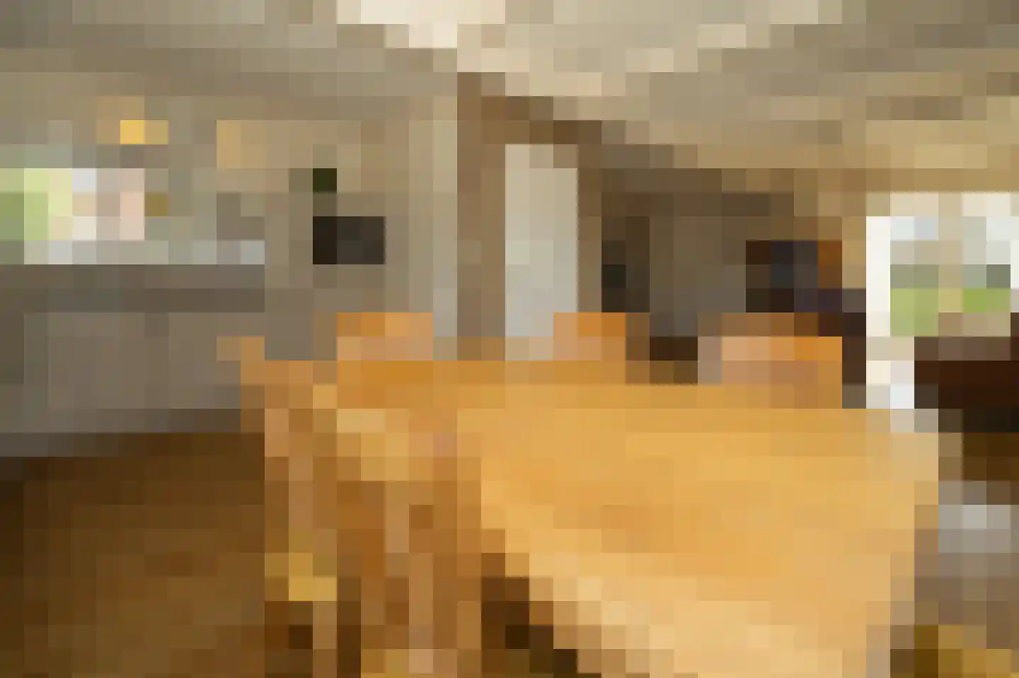 Dokter Mulderstraat 2 Oostwoud thumbnail 11