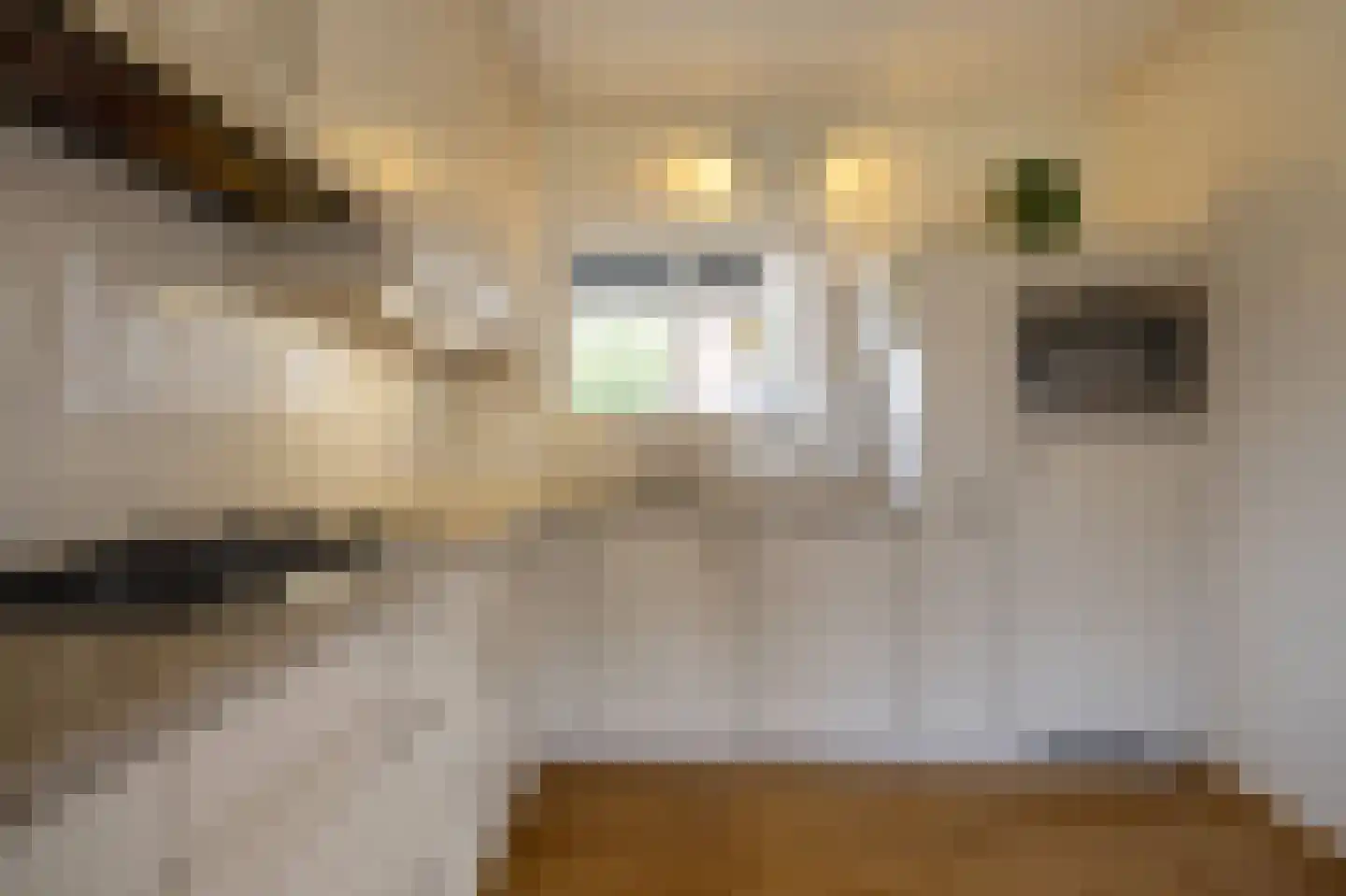 Dokter Mulderstraat 2 Oostwoud thumbnail 13