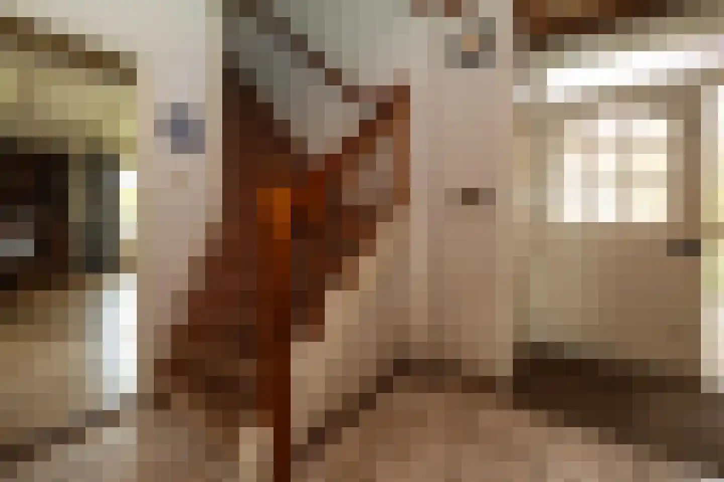 Dokter Mulderstraat 2 Oostwoud thumbnail 15