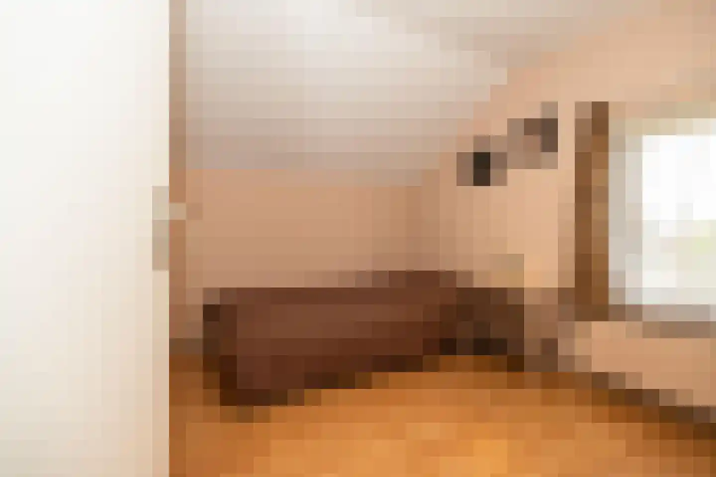 Dokter Mulderstraat 2 Oostwoud thumbnail 27