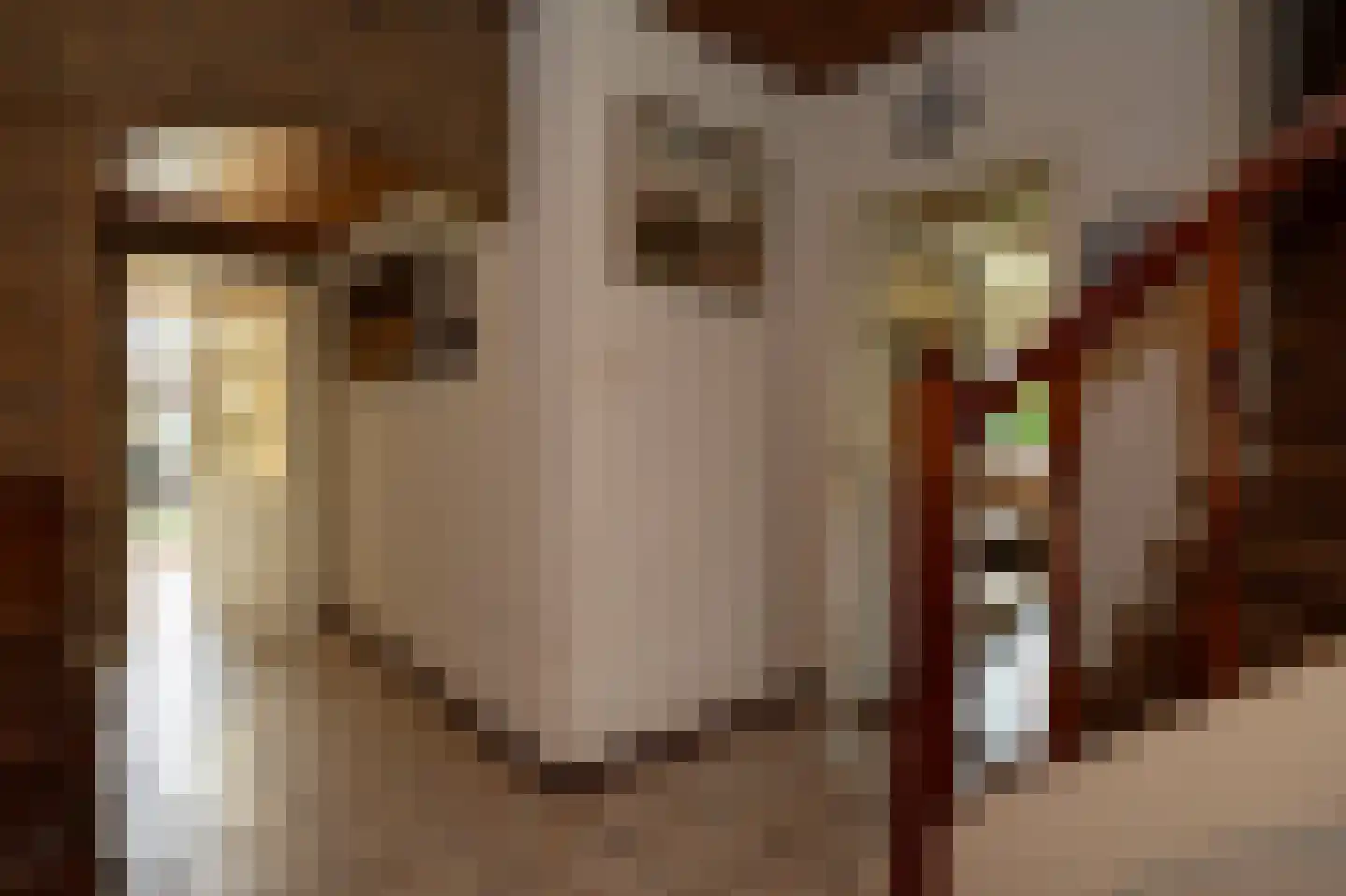 Dokter Mulderstraat 2 Oostwoud thumbnail 32