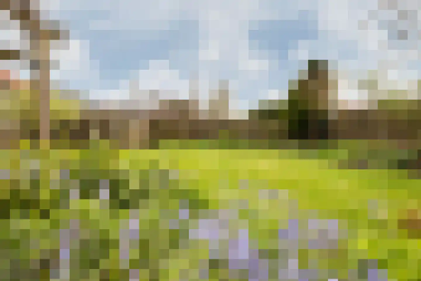 Dokter Mulderstraat 2 Oostwoud thumbnail 39