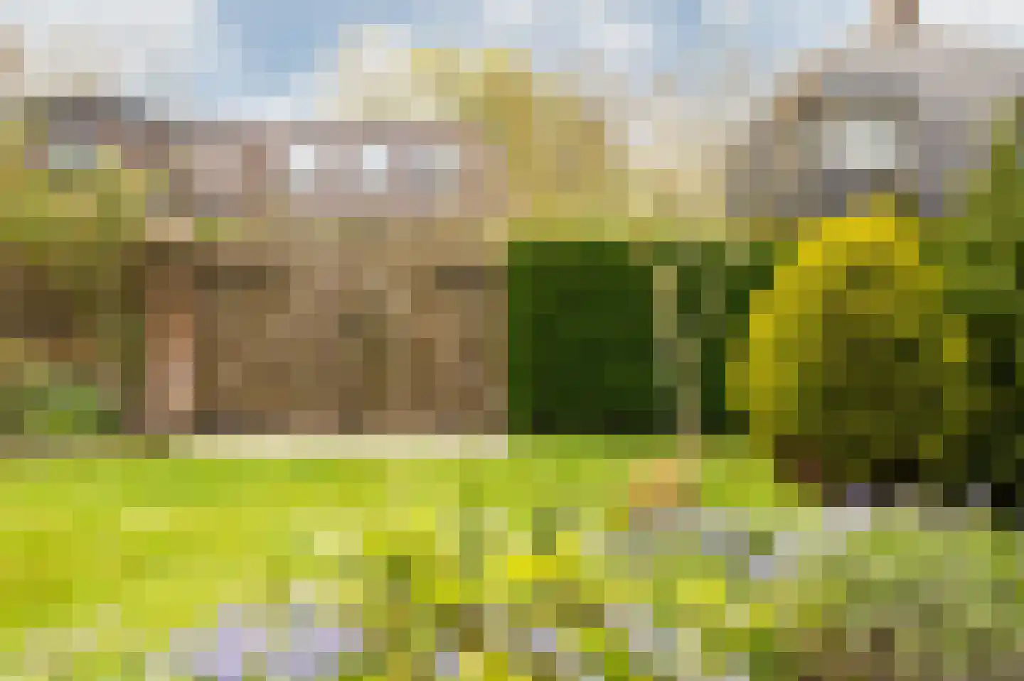 Dokter Mulderstraat 2 Oostwoud thumbnail 40