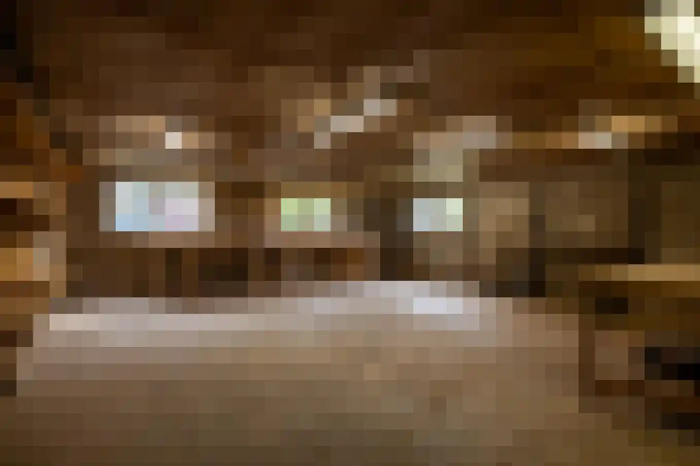 Dokter Mulderstraat 2 Oostwoud thumbnail 45