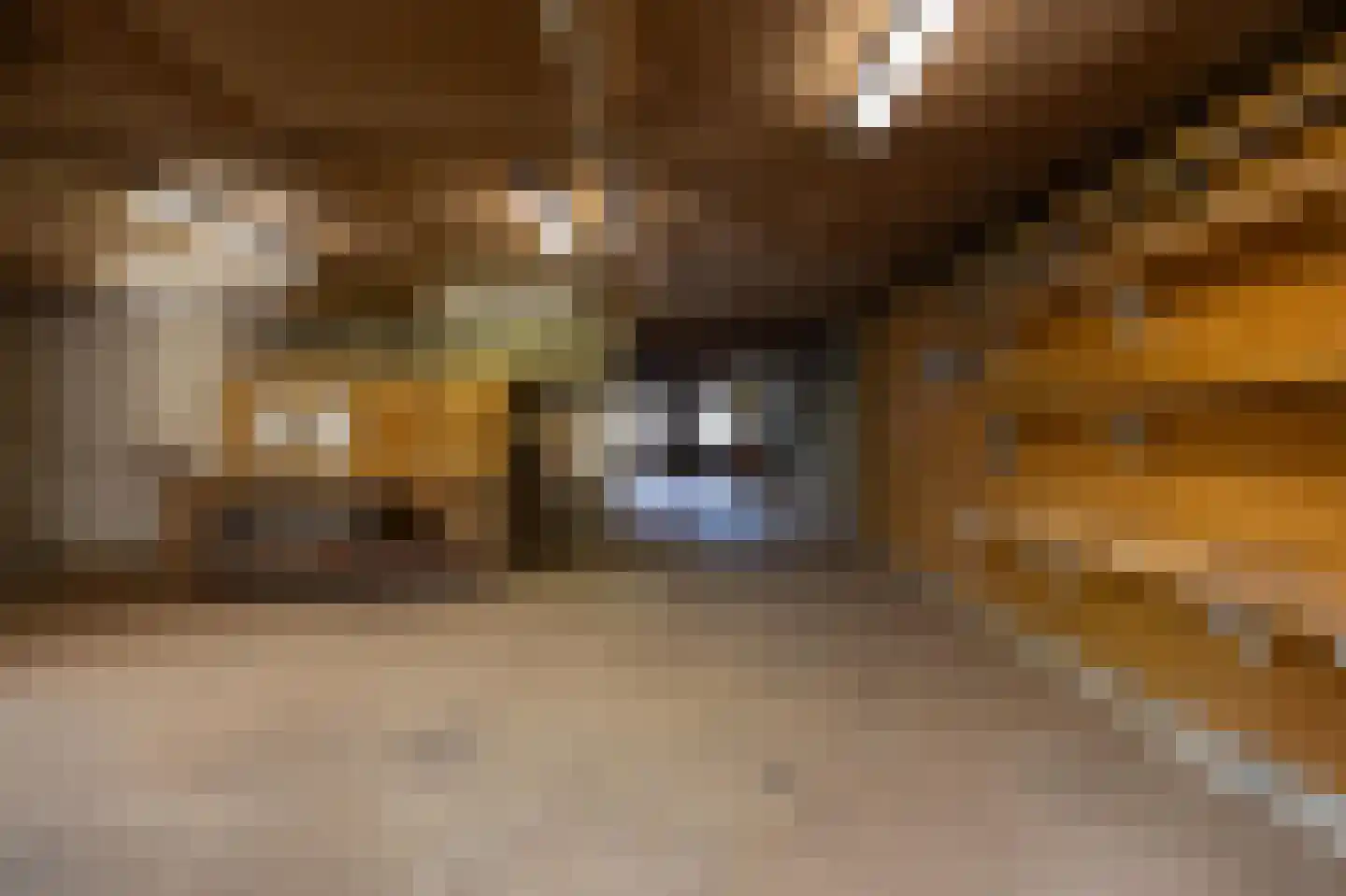 Dokter Mulderstraat 2 Oostwoud thumbnail 46