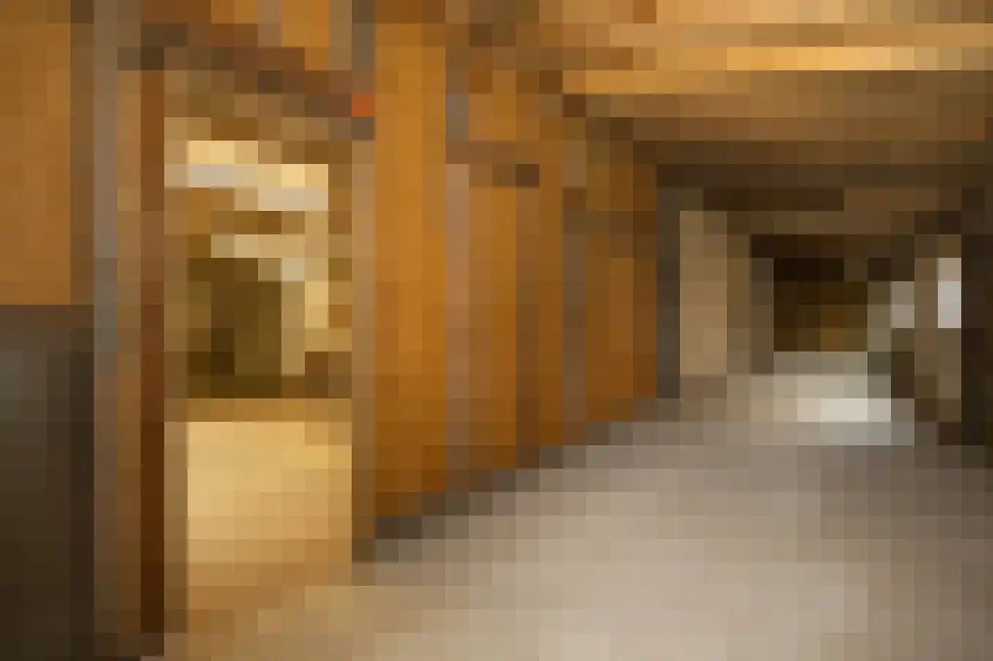Dokter Mulderstraat 2 Oostwoud thumbnail 50