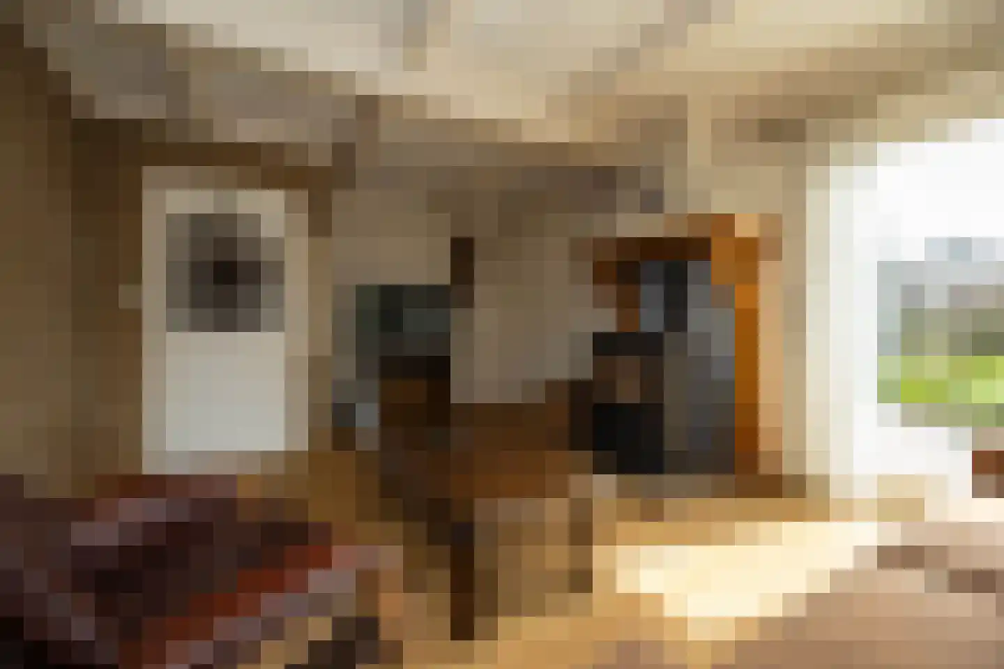 Dokter Mulderstraat 2 Oostwoud thumbnail 6