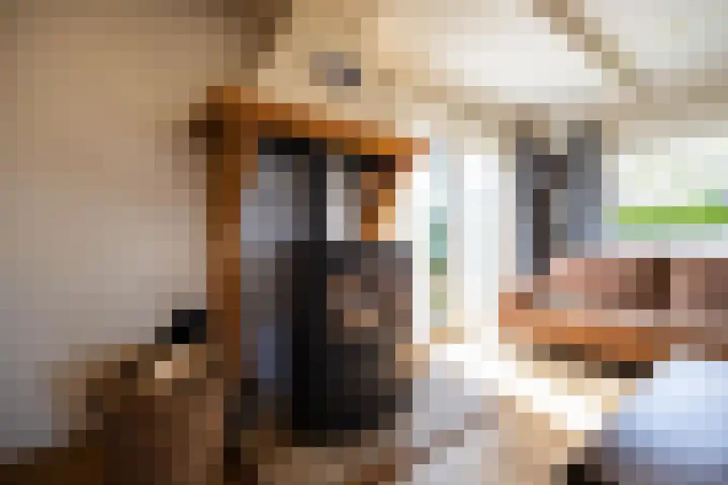 Dokter Mulderstraat 2 Oostwoud thumbnail 7