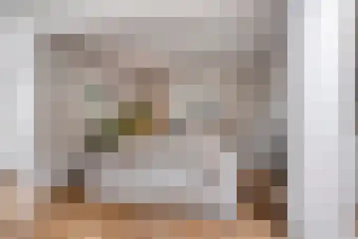 Dokter Nillesenstraat 10 Winssen thumbnail 10