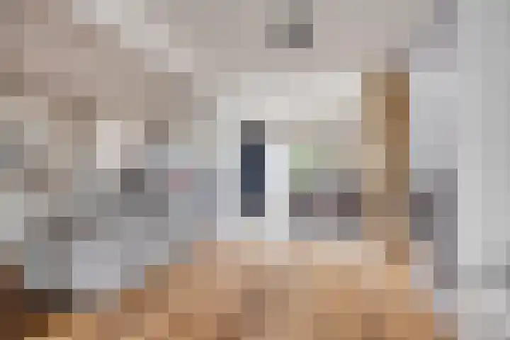 Dokter Nillesenstraat 10 Winssen thumbnail 11