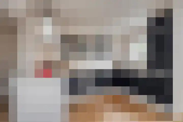 Dokter Nillesenstraat 10 Winssen thumbnail 16