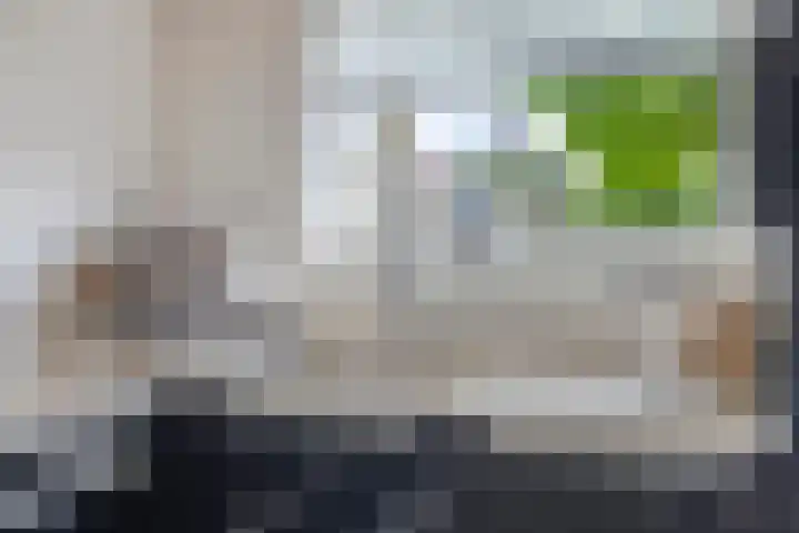 Dokter Nillesenstraat 10 Winssen thumbnail 19