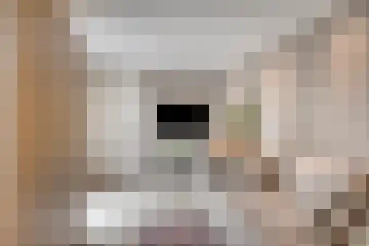 Dokter Nillesenstraat 10 Winssen thumbnail 21