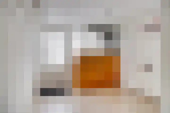 Dokter Nillesenstraat 10 Winssen thumbnail 25