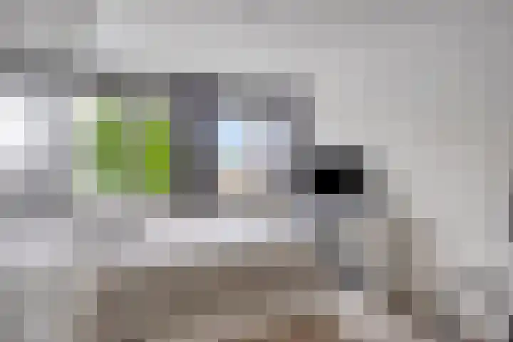 Dokter Nillesenstraat 10 Winssen thumbnail 28