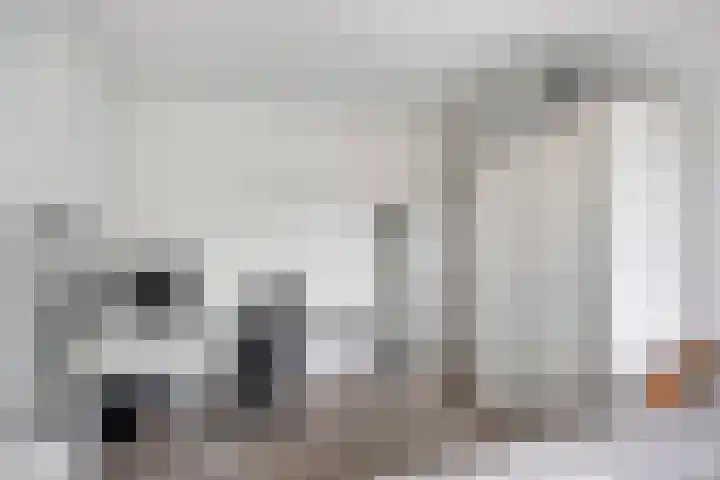 Dokter Nillesenstraat 10 Winssen thumbnail 29