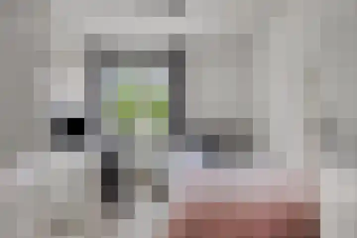 Dokter Nillesenstraat 10 Winssen thumbnail 32