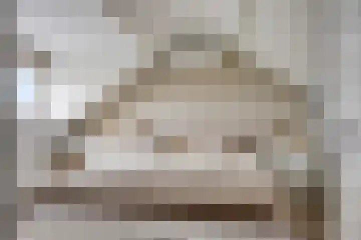 Dokter Nillesenstraat 10 Winssen thumbnail 36