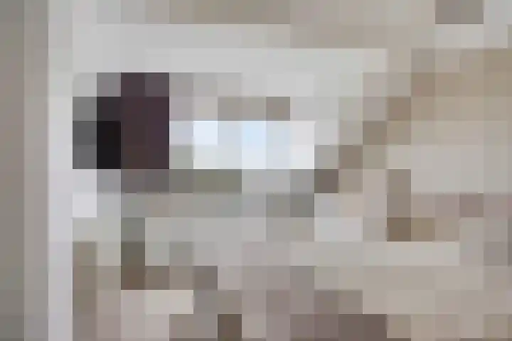Dokter Nillesenstraat 10 Winssen thumbnail 37