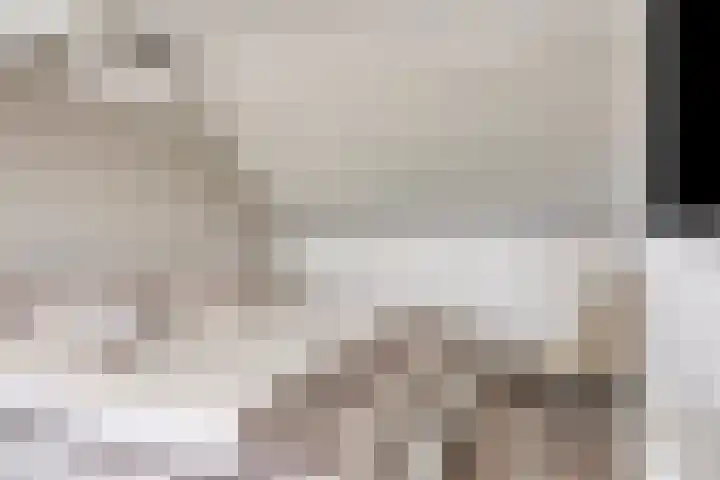 Dokter Nillesenstraat 10 Winssen thumbnail 38
